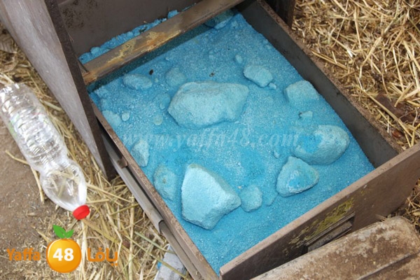 abo selmeiy 0528 (44).JPG